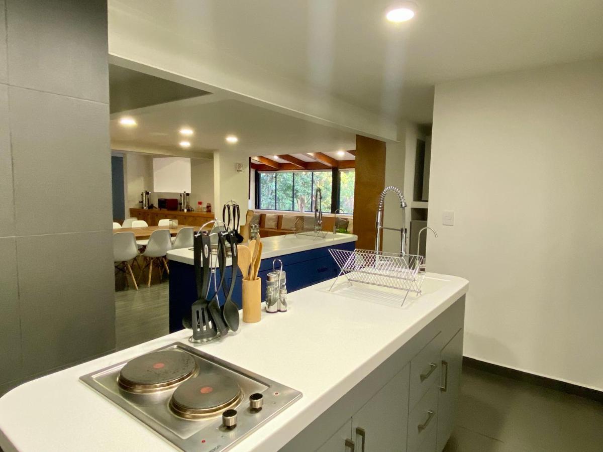 メキシコシティ Casa Bonsai Bed & Breakfast エクステリア 写真