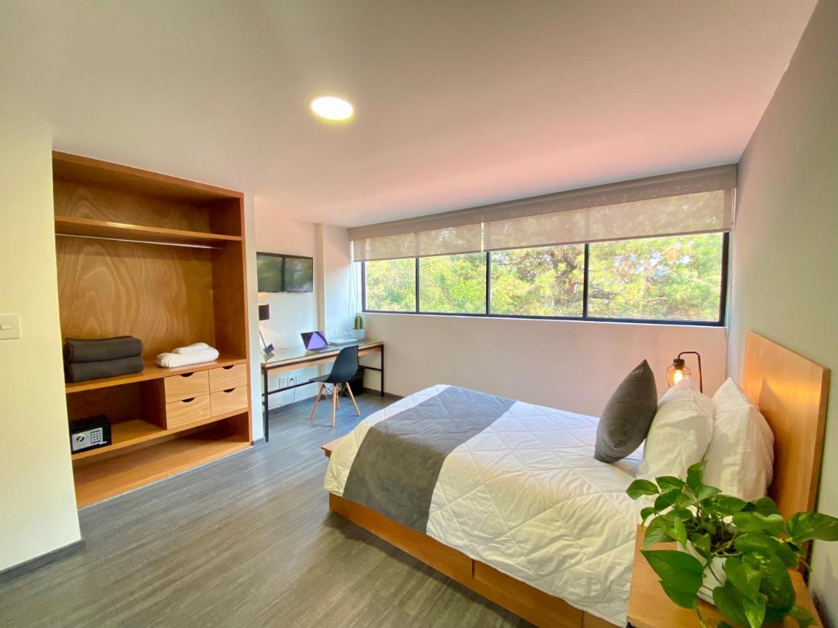 メキシコシティ Casa Bonsai Bed & Breakfast エクステリア 写真