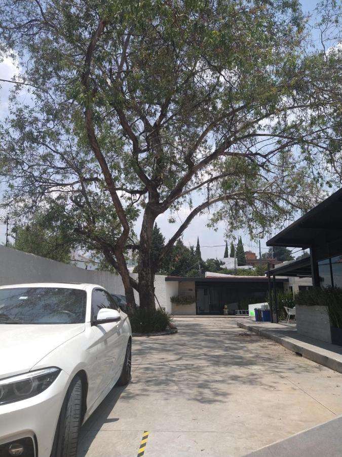メキシコシティ Casa Bonsai Bed & Breakfast エクステリア 写真