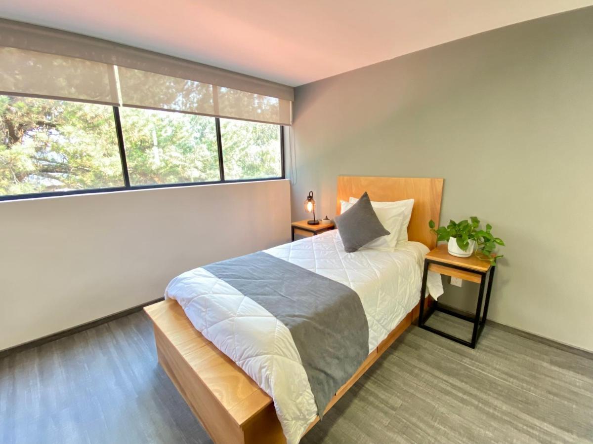 メキシコシティ Casa Bonsai Bed & Breakfast エクステリア 写真