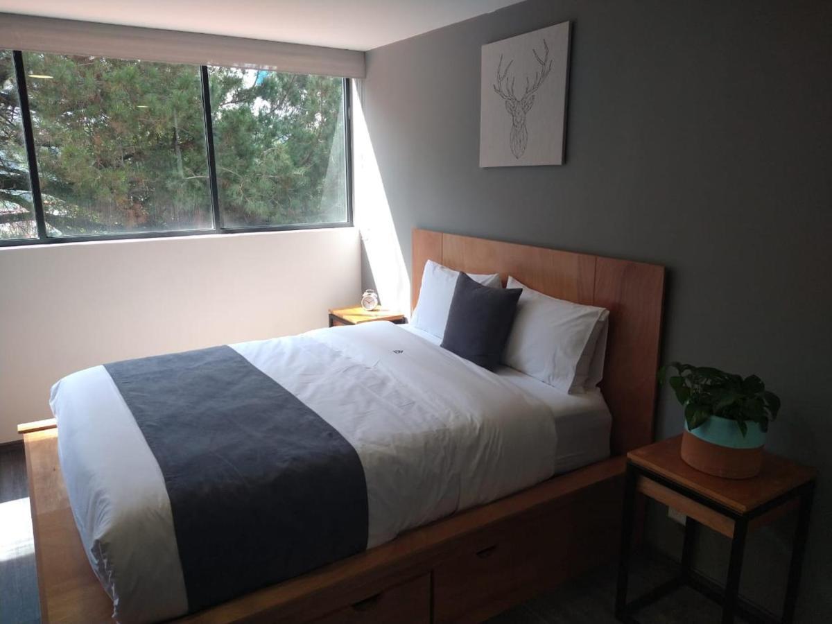 メキシコシティ Casa Bonsai Bed & Breakfast エクステリア 写真